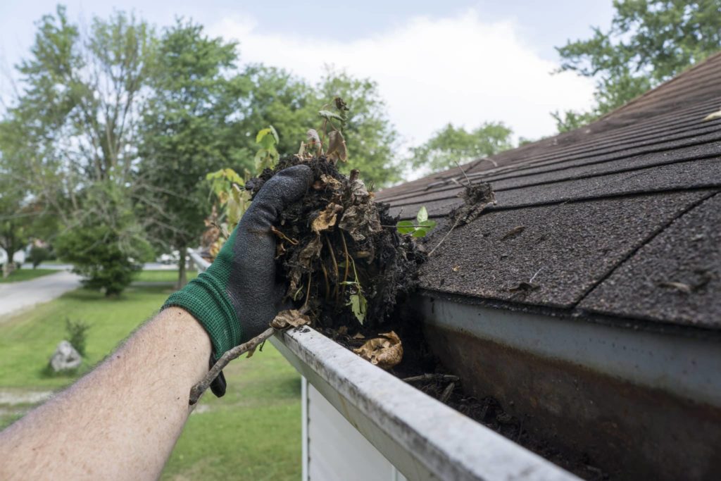 gutter cleaning services